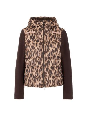  697 seal brown